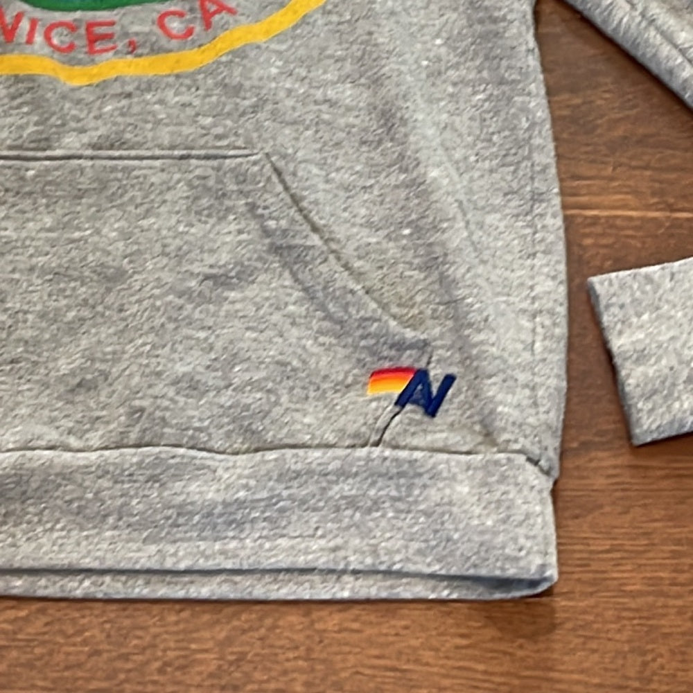 Aviator Nation Women’s Grey Hooded Sweatshirt Size Small