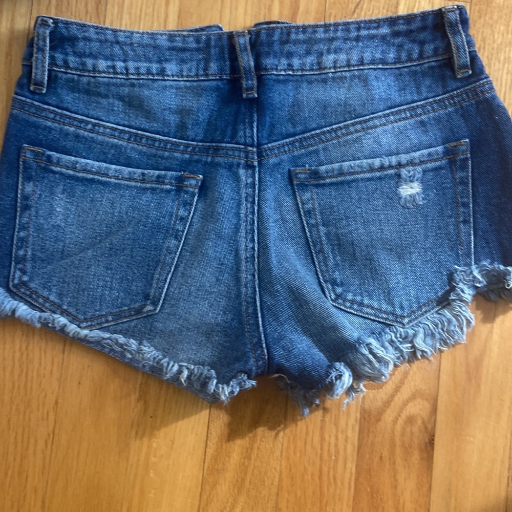 Women’s Pacsun shorts. Blue. Size 23