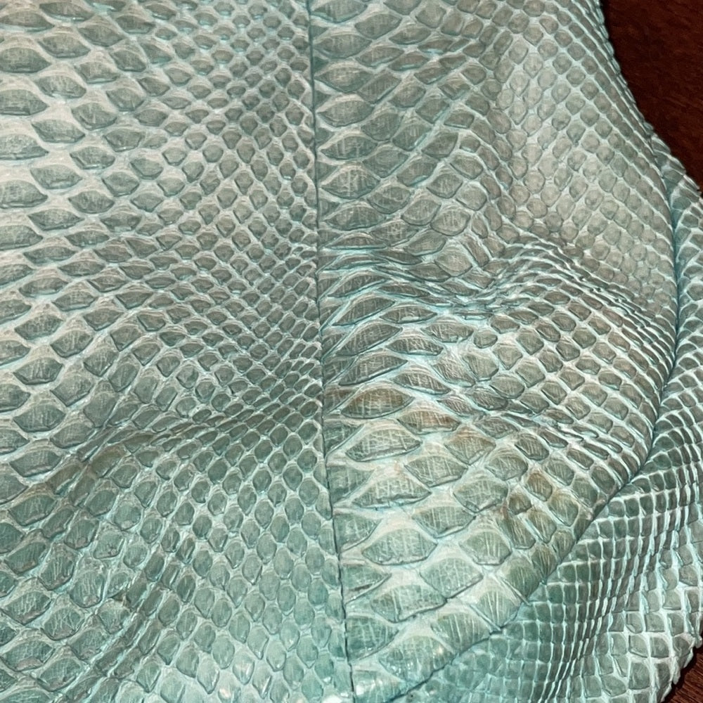 BE&D Bluish Green Skin Hobo Bag