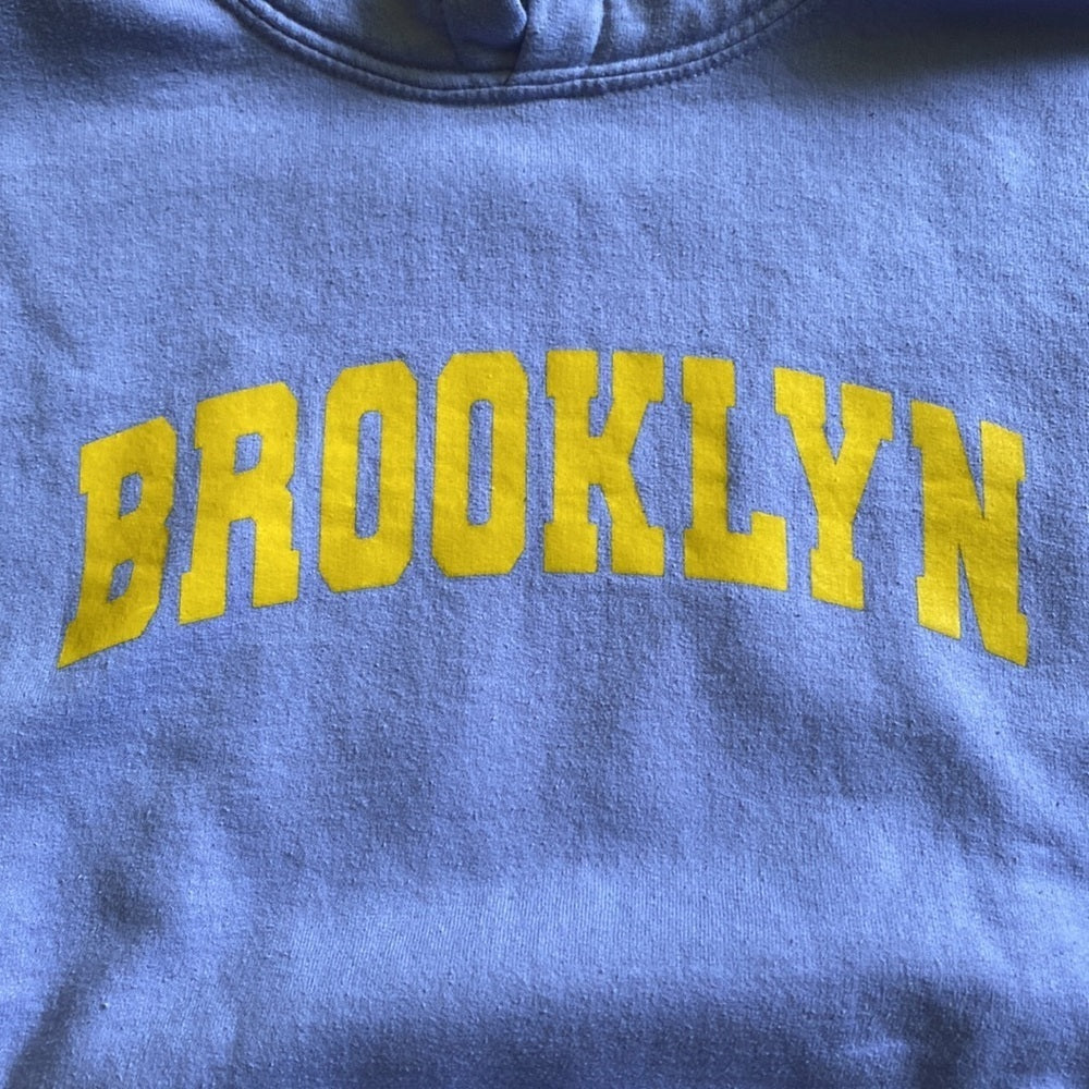 GILDAN light purple brooklyn hoodie size small