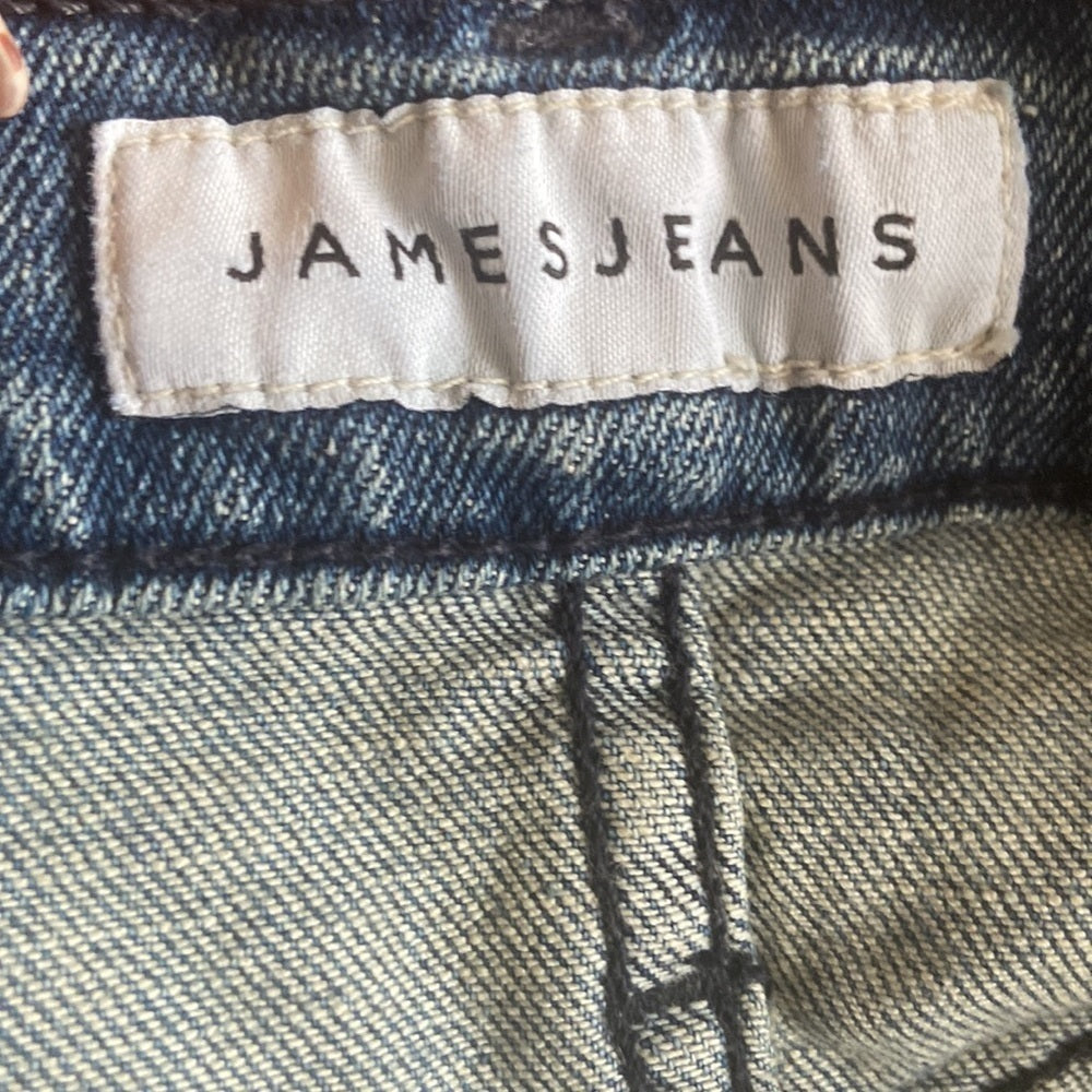Women’s James Jeans. Blue. Size 26
