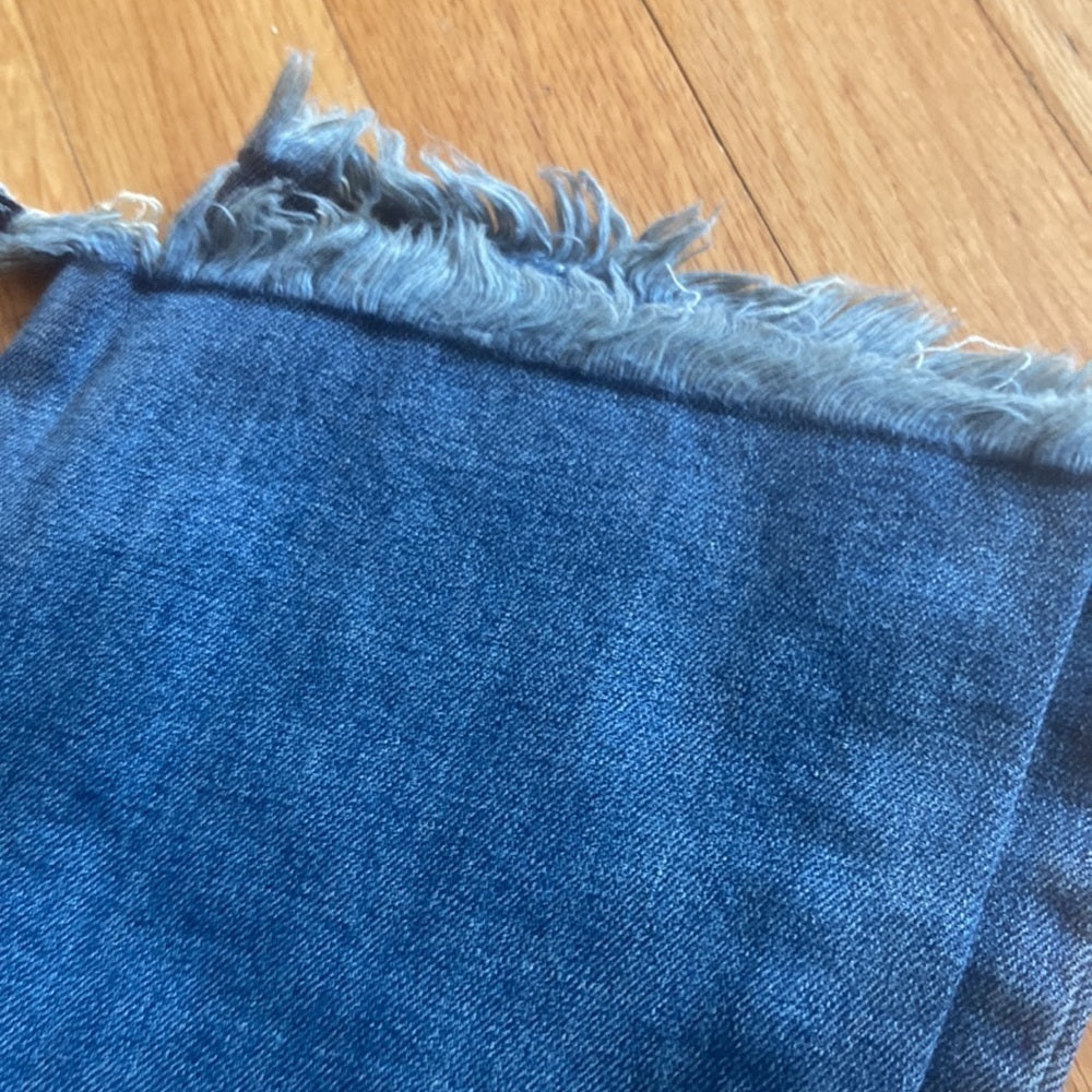 Women’s James Jeans. Blue. Size 26