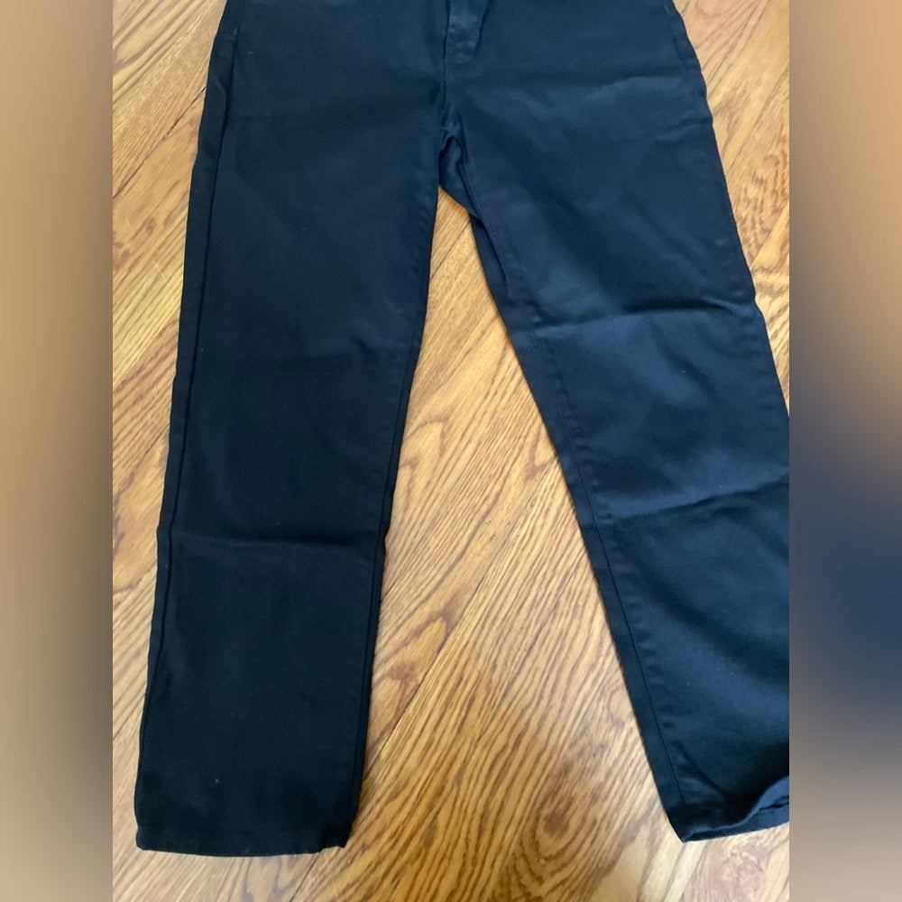 James Jeans Black Skinny Jeans Size 29