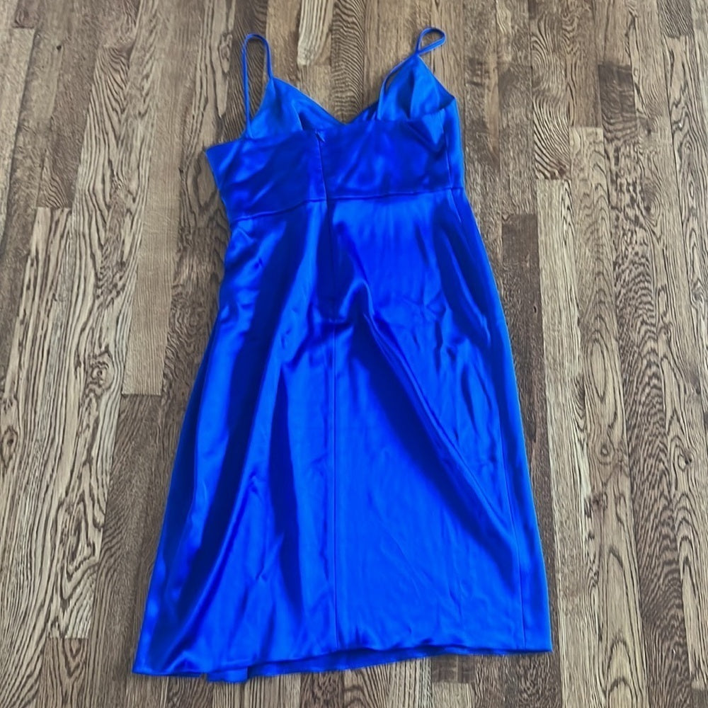 JILL Stuart Woman’s Blue Dress Size 10