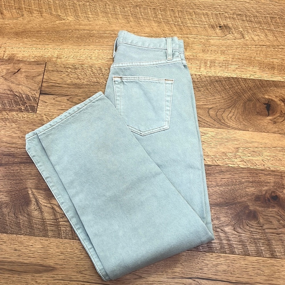 Slvrlake Women’s Light Green Denim Jeans Size 24