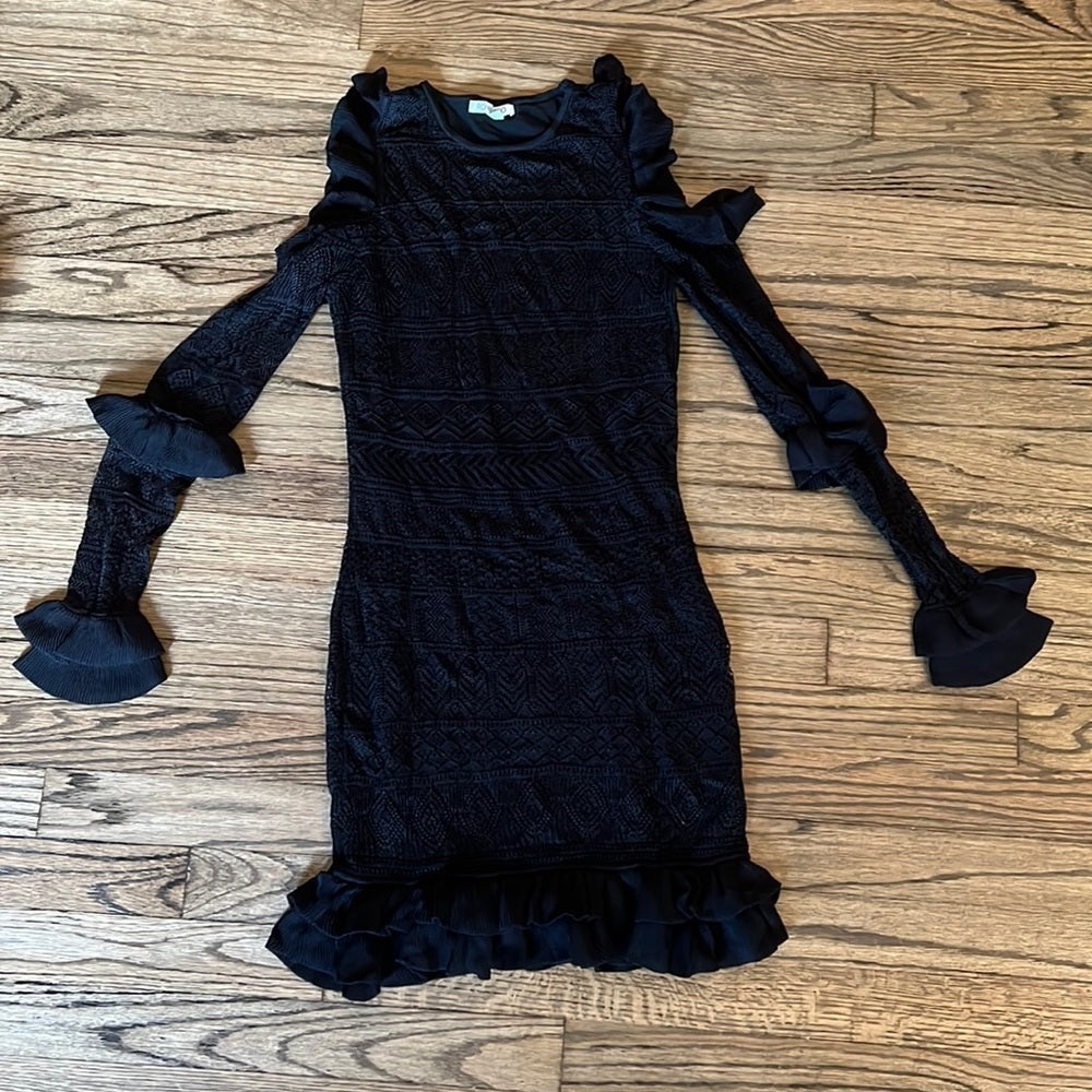 Women’s Ronny Kobo black dress Size XS