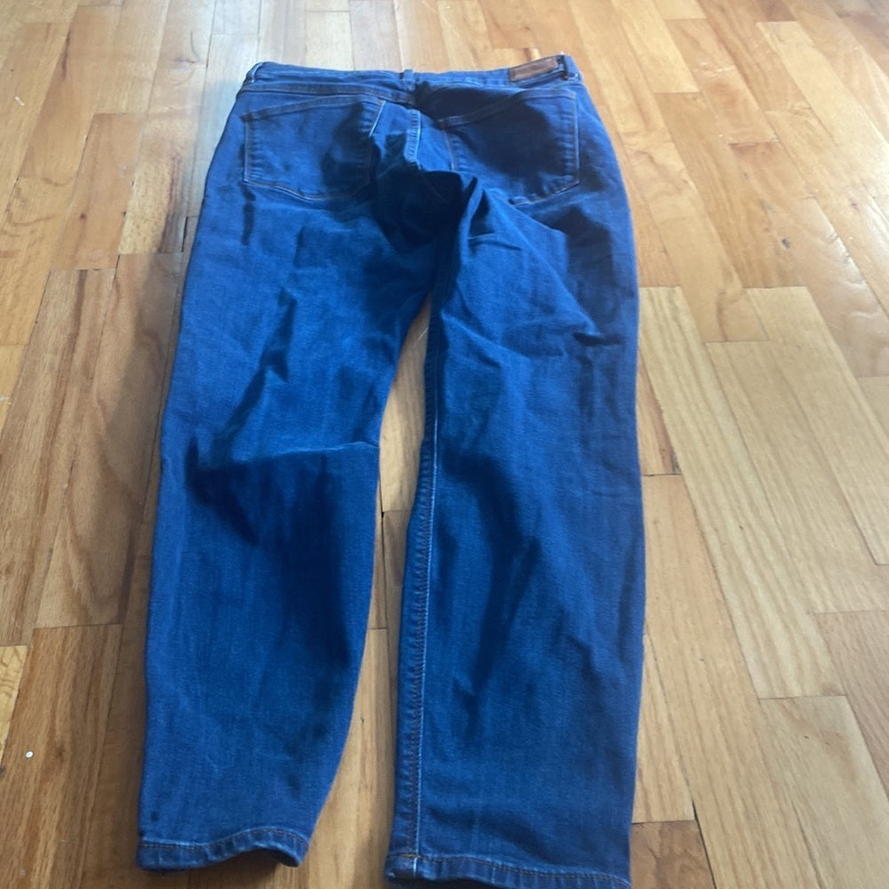 Women’s Zara jeans. Blue. Size 10