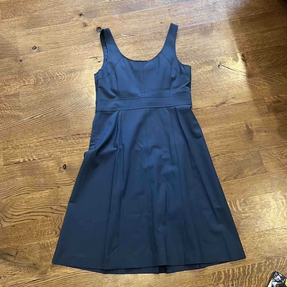 Women’s Theory Blue Dress Size 10