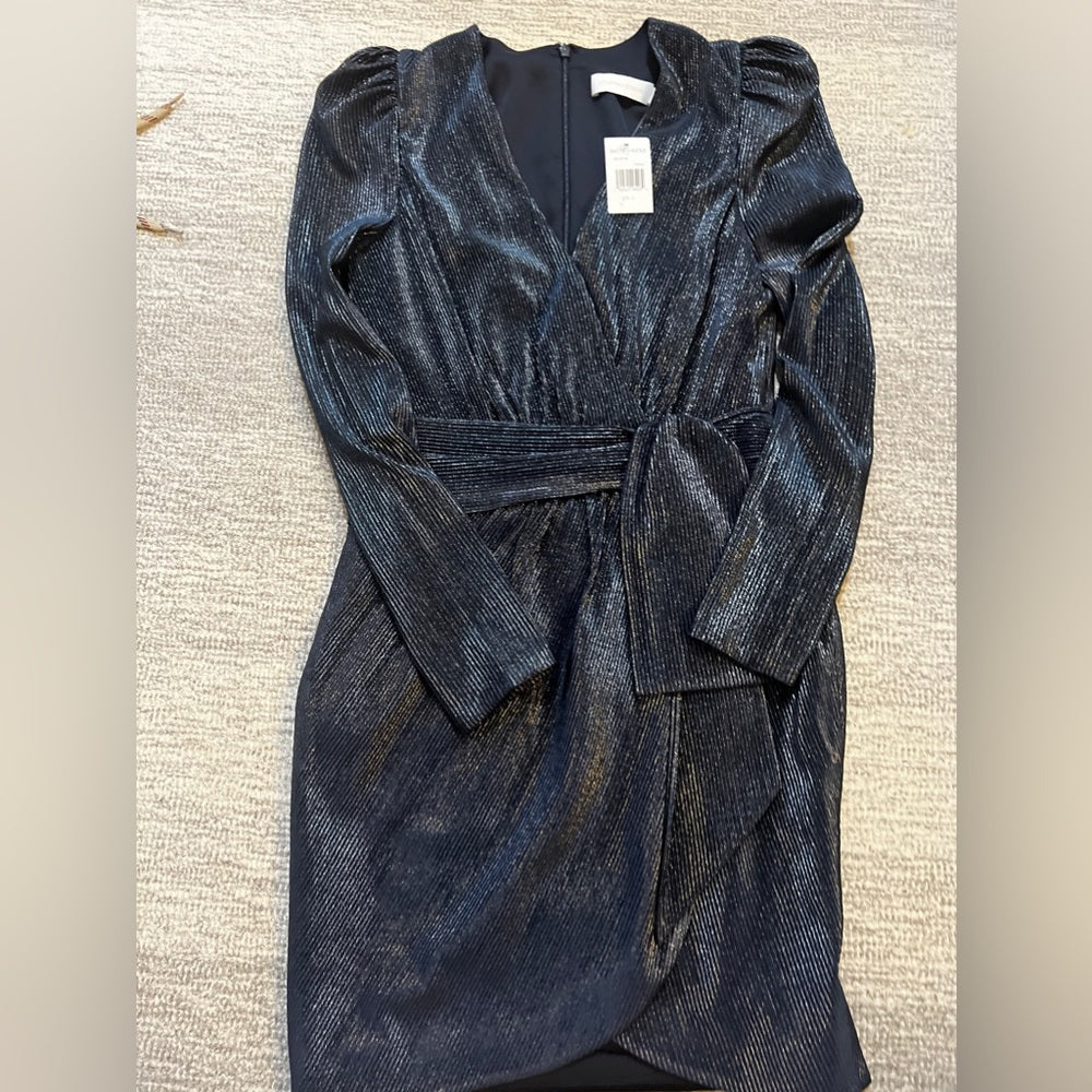 NWT Jonathan Simkhai Woman’s Midnight Dress Size 0