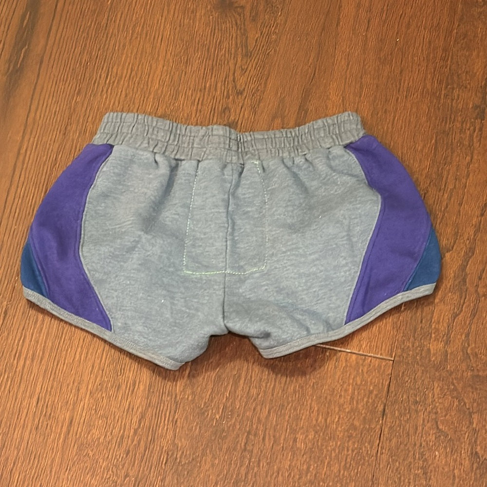 Aviator Nation Women’s Grey Shorts Size XS
