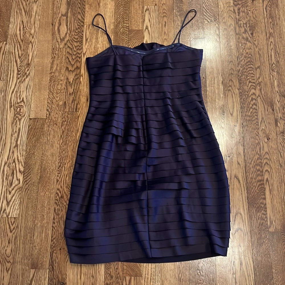 JS Collections Woman’s Purple Dress Size 10