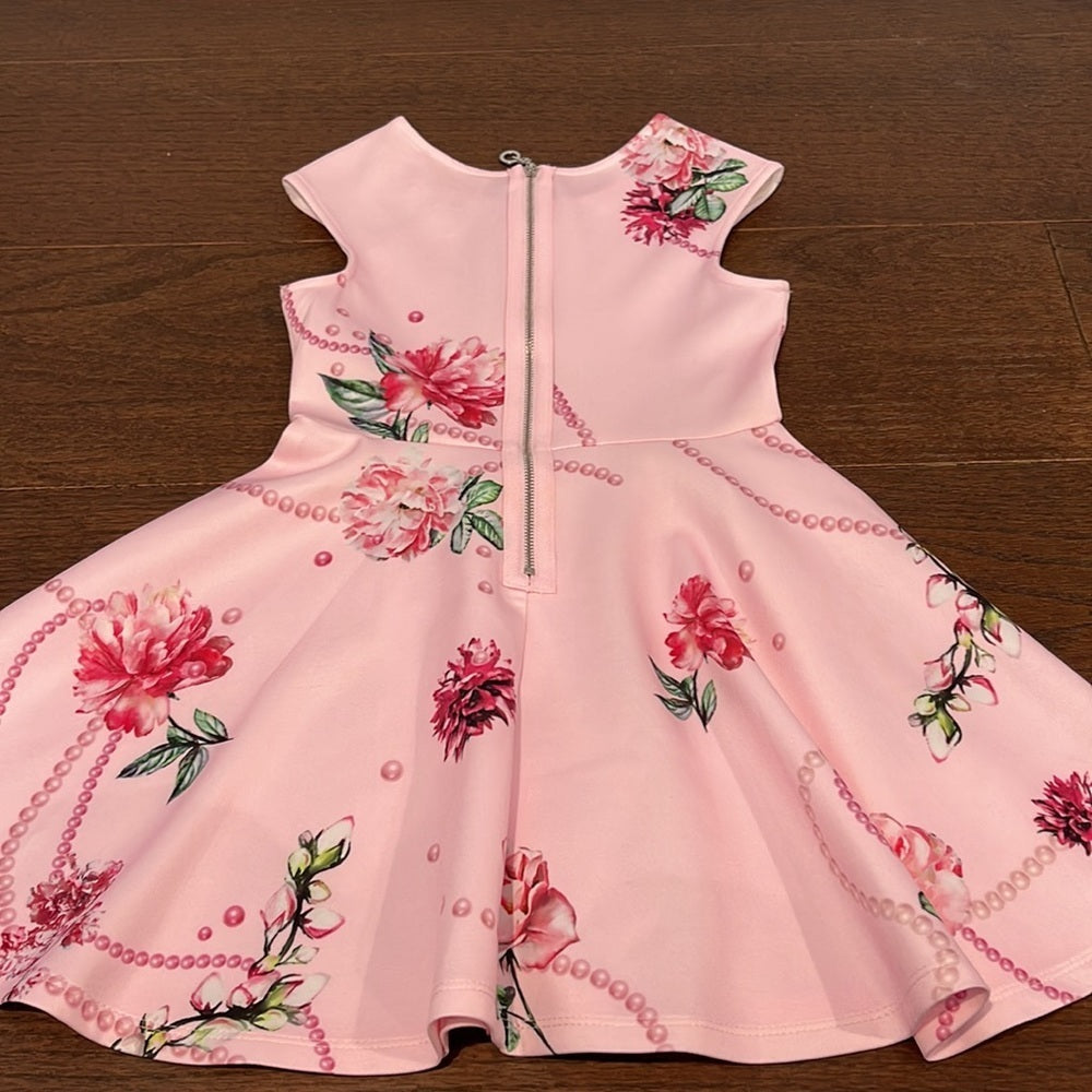 HANNAH Banana Girls Pink Floral Dress Size 6