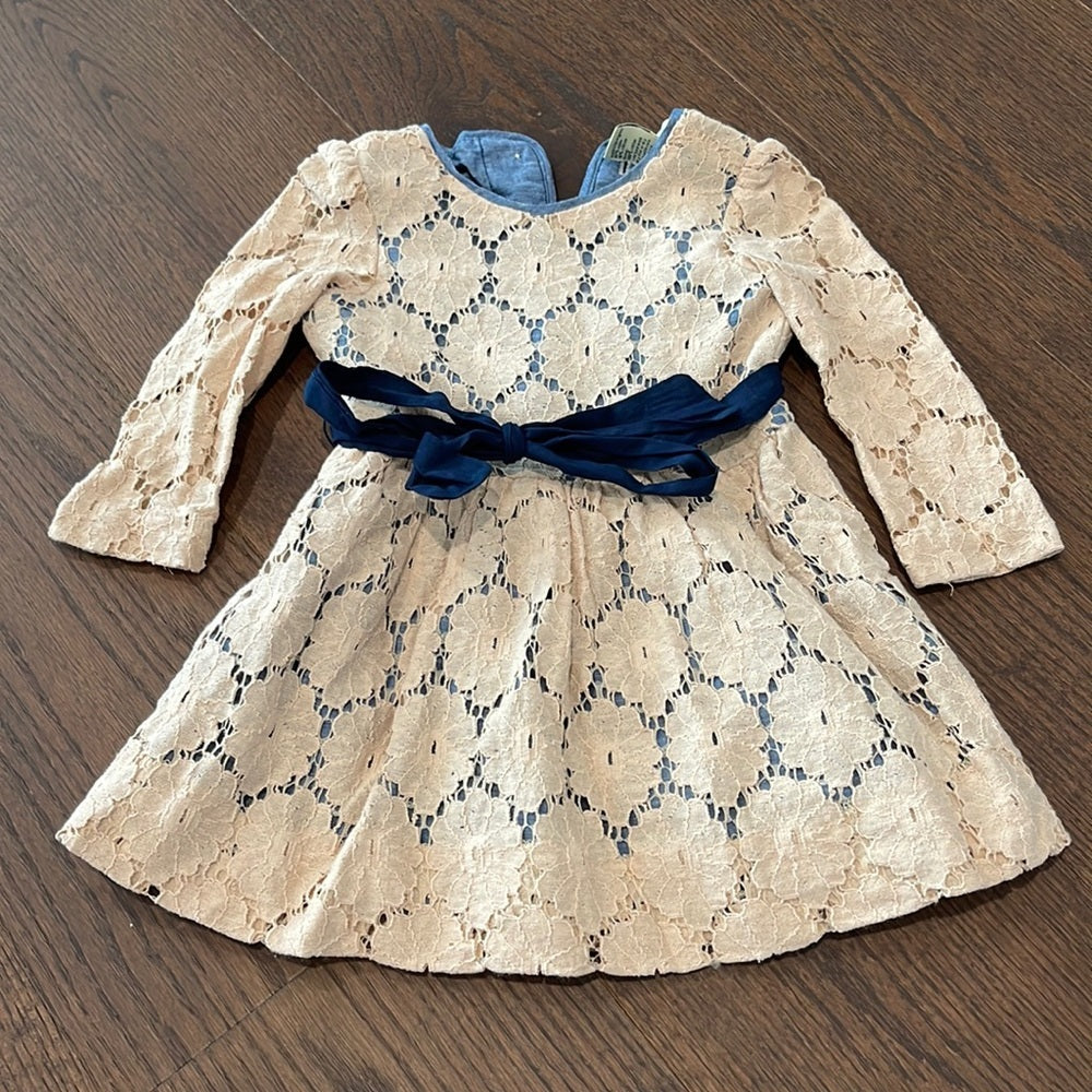 Anthem of the Ants Blush Lace Girls Dress Size 2T