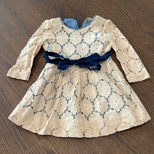 Anthem of the Ants Blush Lace Girls Dress Size 2T