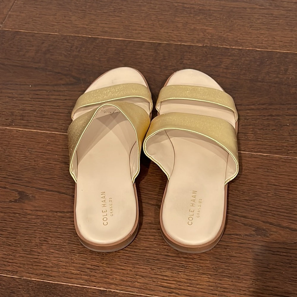 Cole Haan Gold Sandals Size 8