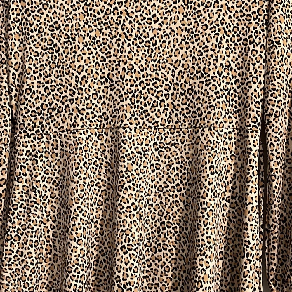 Banana Republic Women’s Leopard Dress Size Small Petite