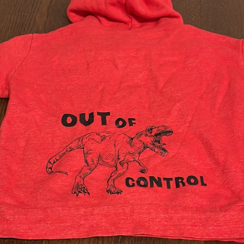 Boys Red Hooded Sweatshirt Size 6