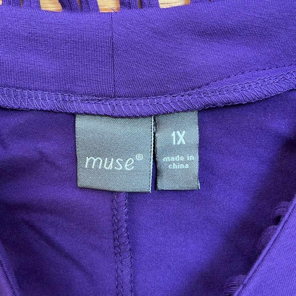 NWT Muse purple dress Size 1X