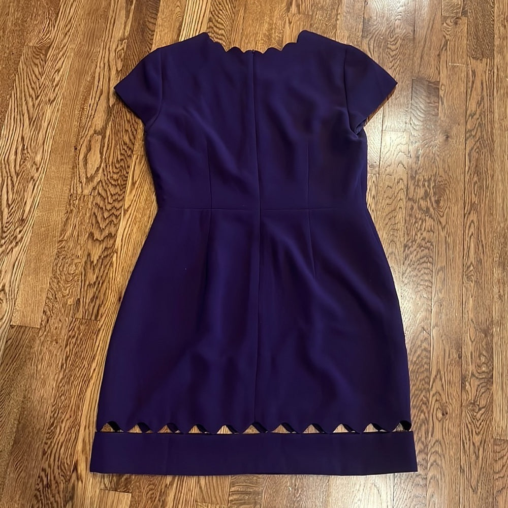 Club Monaco Woman’s Purple Dress Size 12