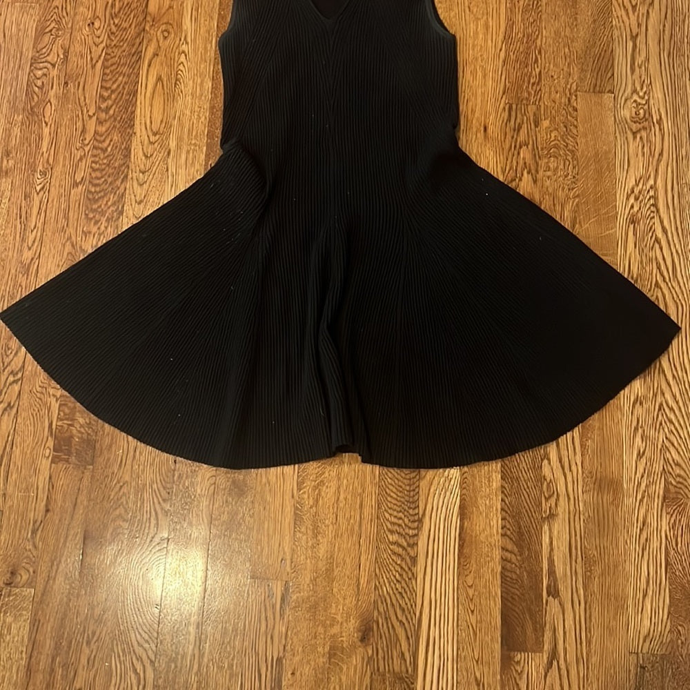 Club Monaco Woman’s Black Sleeveless Dress Size L/G