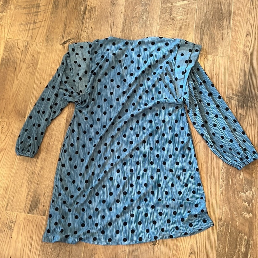 Zara Woman’s Blue Polka Dot Dress Size Large