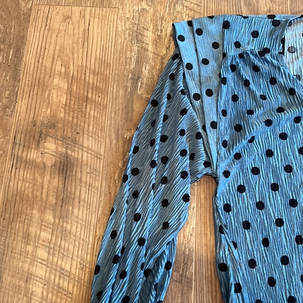 Zara Woman’s Blue Polka Dot Dress Size Large