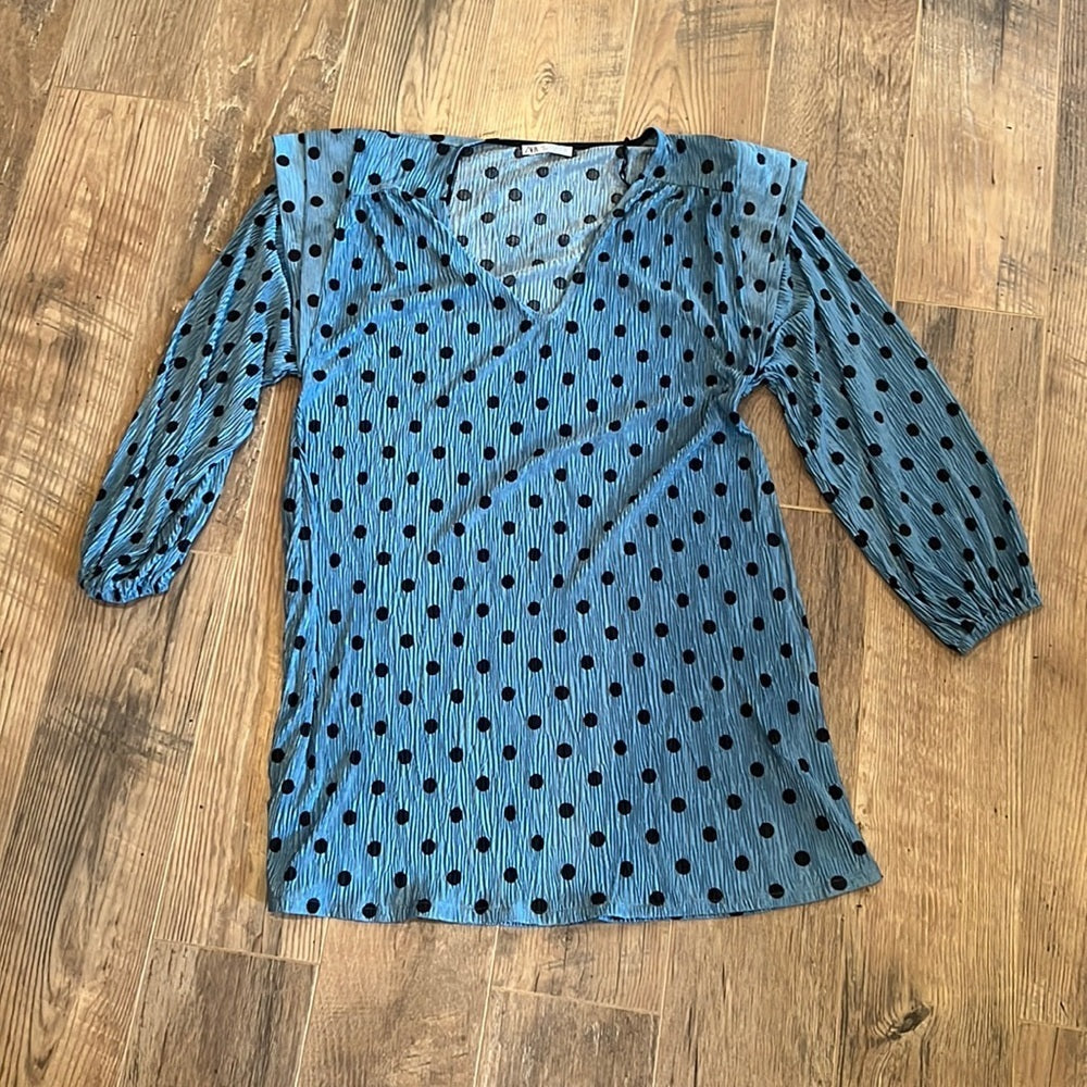 Zara Woman’s Blue Polka Dot Dress Size Large