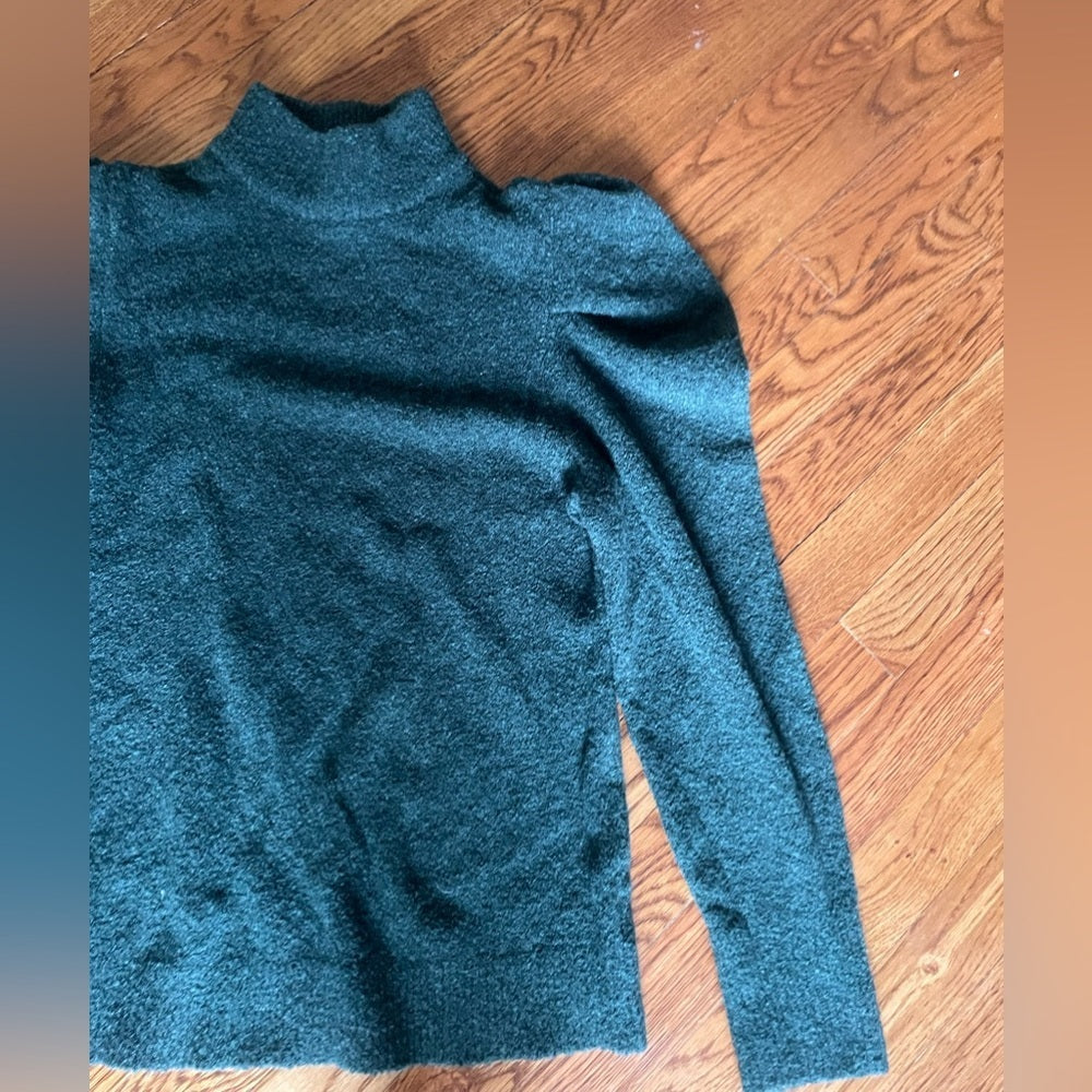 Lini Green Turtle Neck Sweater Size Medium