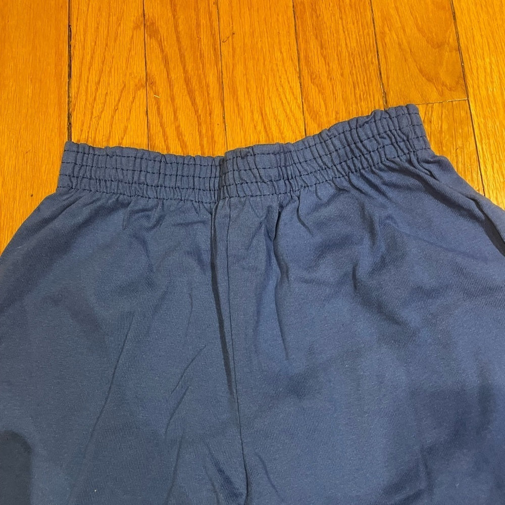 SOFFE Royal Blue Shorts Size Small