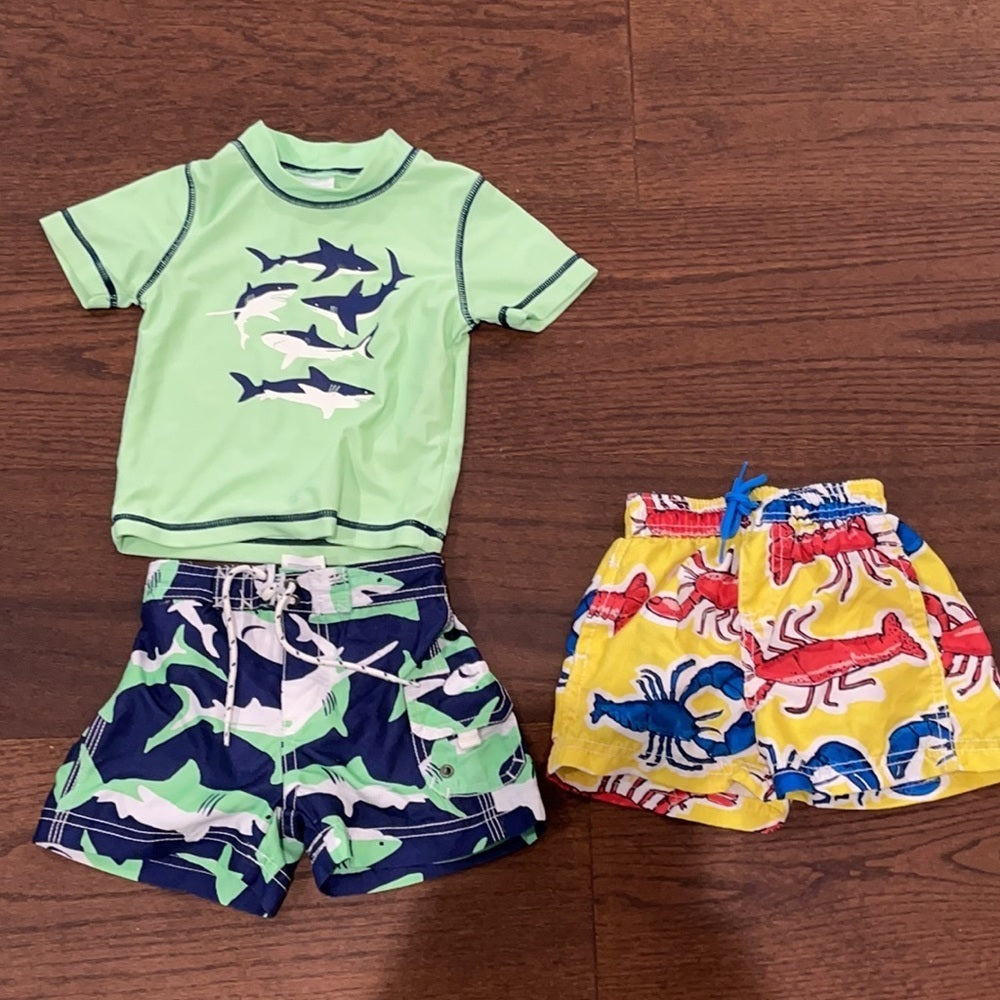 Carter’s Boys 6-9 months Swim trunks and rash guard