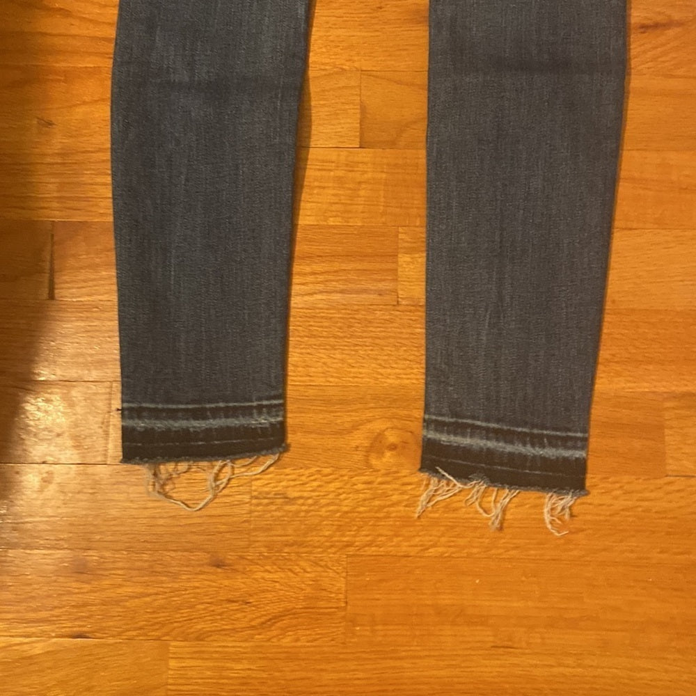 Women’s Hudson jeans. Blue. Size 24