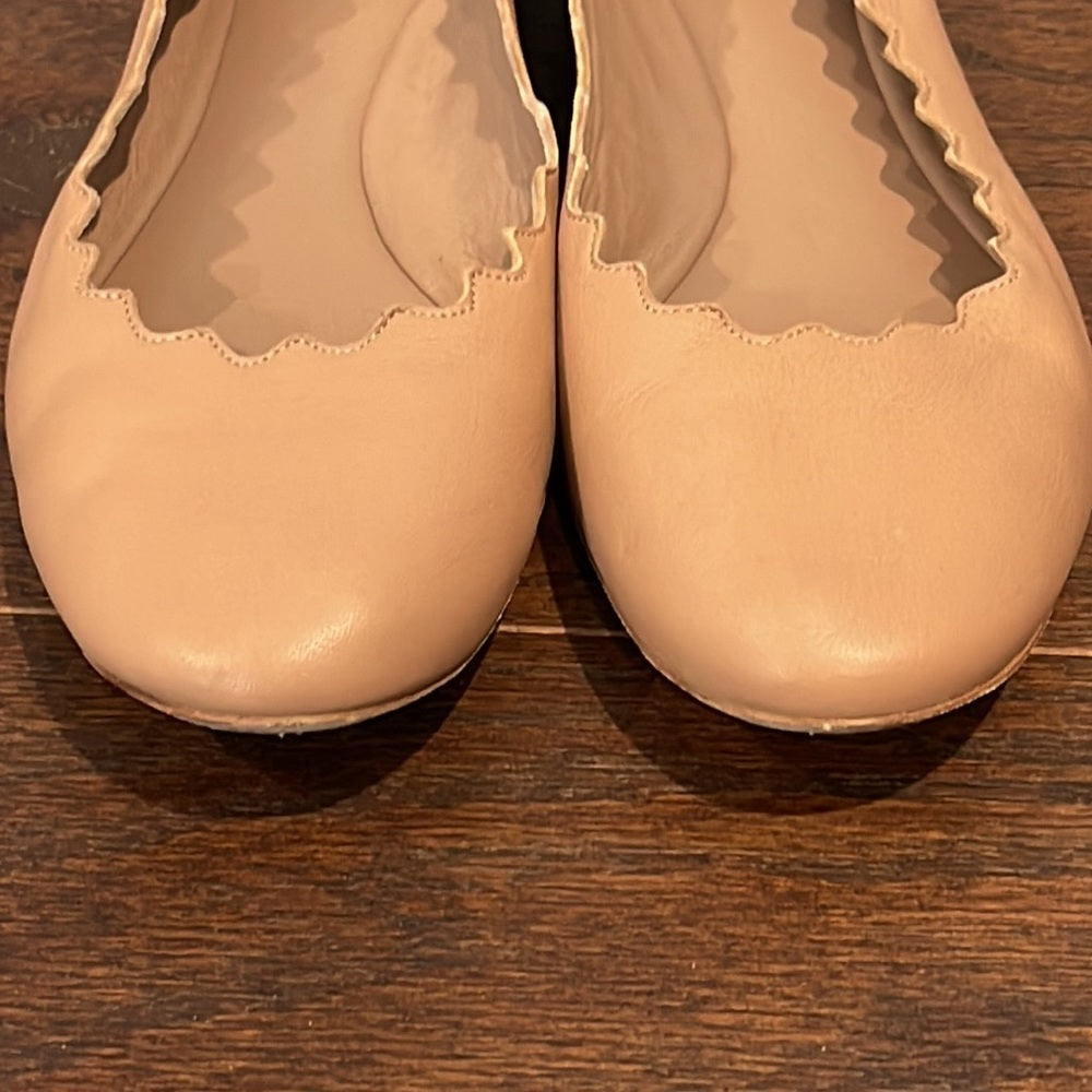Chloé Women's Lauren Scalloped Ballet Flat Blush Size 37.5/7.5