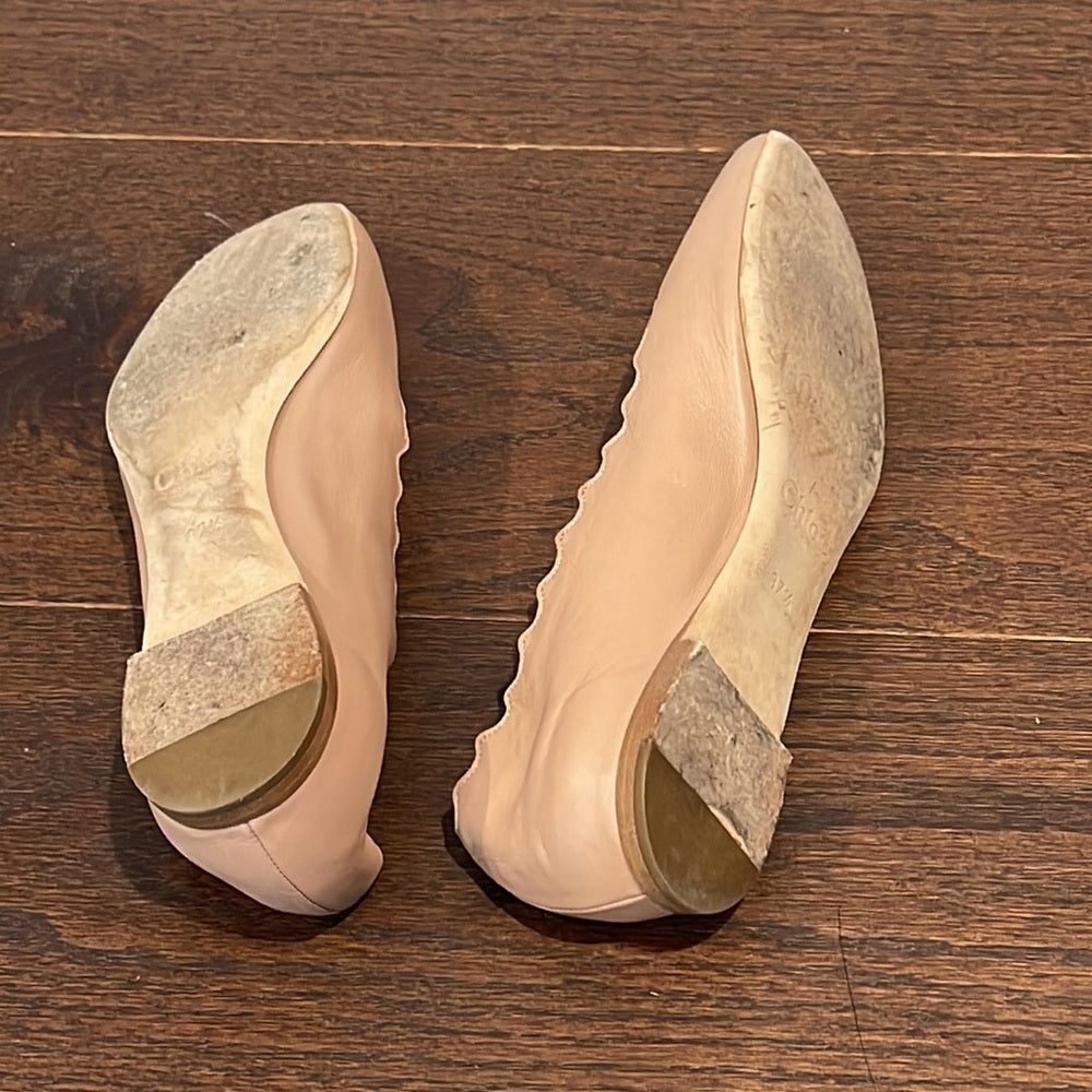 Chloé Women's Lauren Scalloped Ballet Flat Blush Size 37.5/7.5