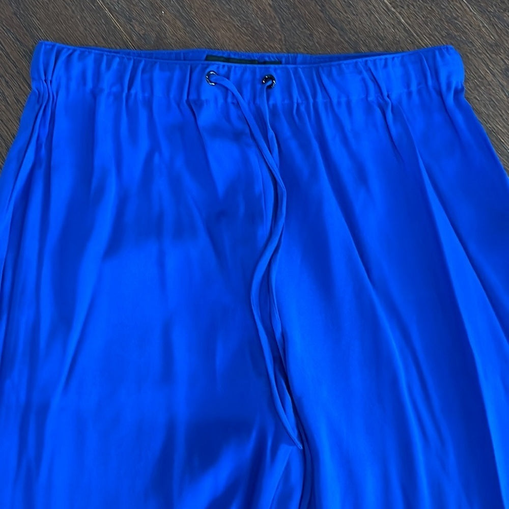 Rag & Bone Silk Blue Pants Size Small