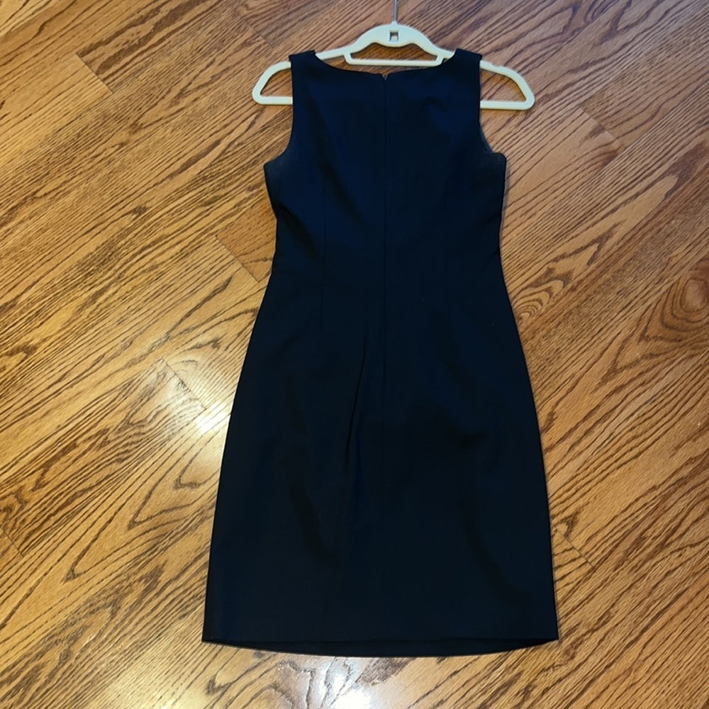 Theory Woman’s Black Dress Size 4