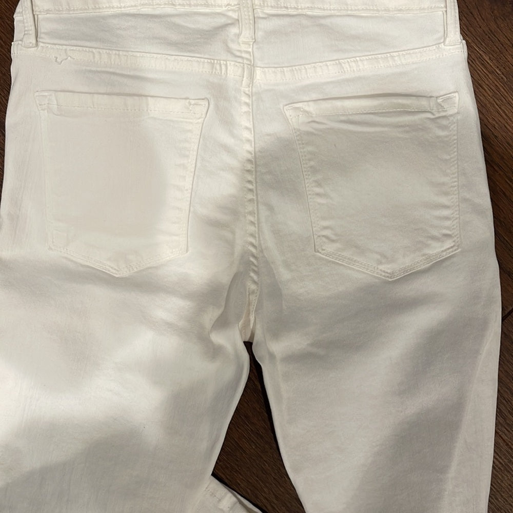 NWT Frame Le Skinny de Jeanne Size 27