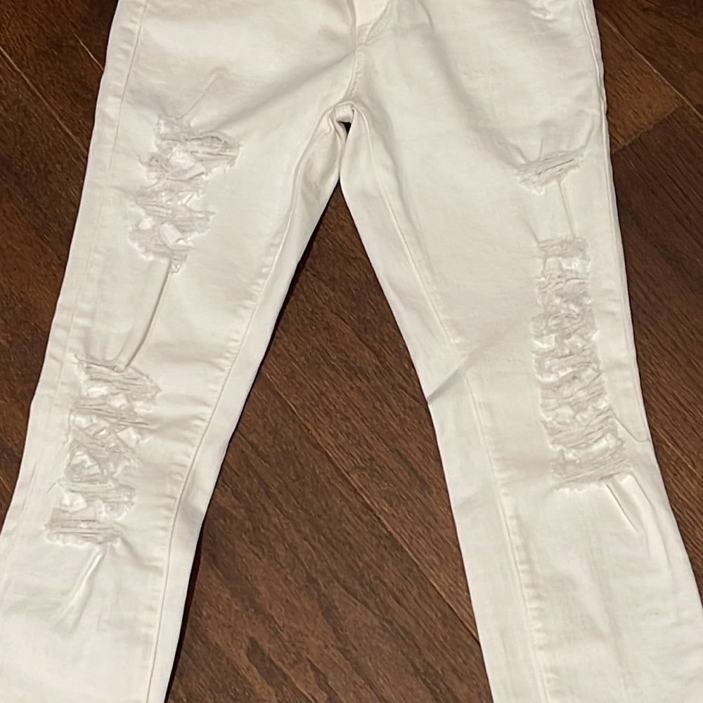 NWT Frame Le Skinny de Jeanne Size 27