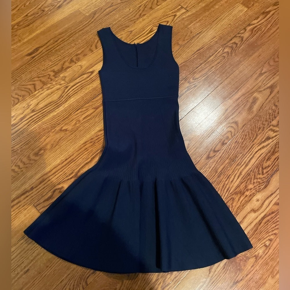 Issa London Navy Sleeveless Dress Size P