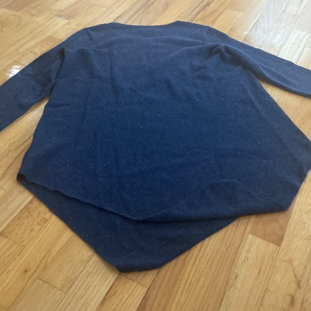 Women’s Joie sweater. Blue. Size S