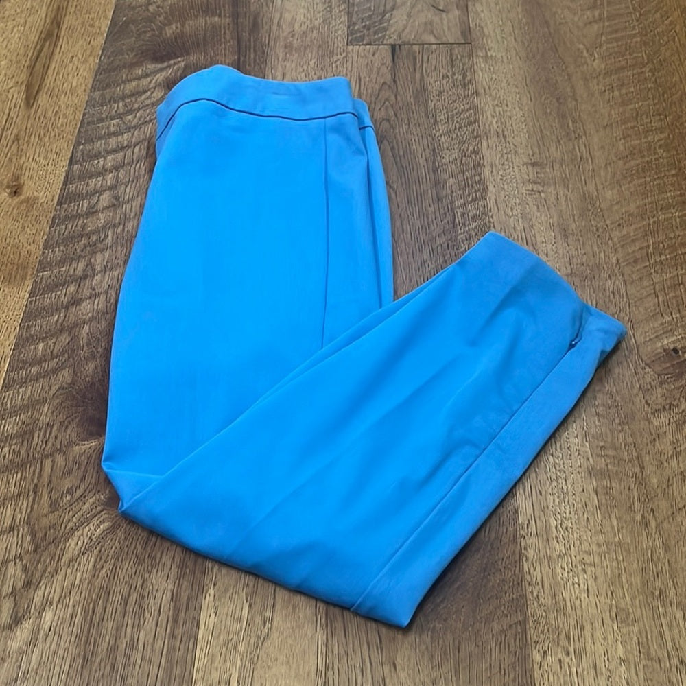 Ecru Woman’s Blue Cropped Pants Size 6