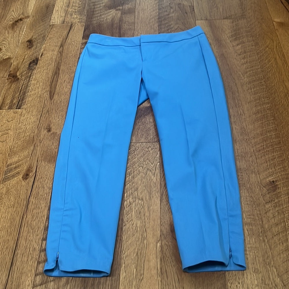 Ecru Woman’s Blue Cropped Pants Size 6