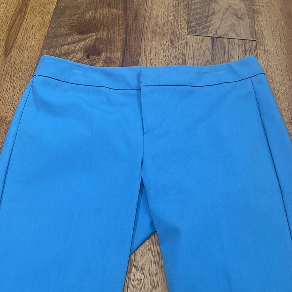 Ecru Woman’s Blue Cropped Pants Size 6