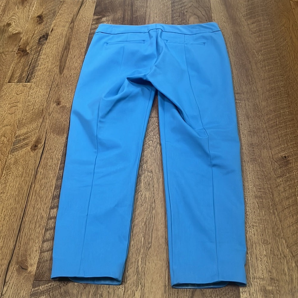 Ecru Woman’s Blue Cropped Pants Size 6