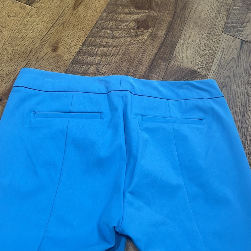 Ecru Woman’s Blue Cropped Pants Size 6