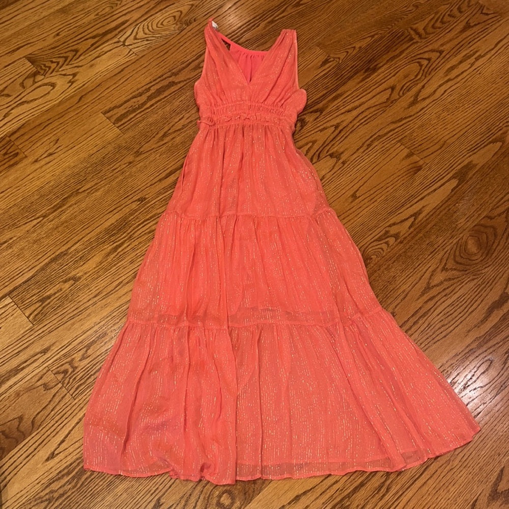 A.L.C Woman’s Pink Sparkle Maxi Dress Size 2