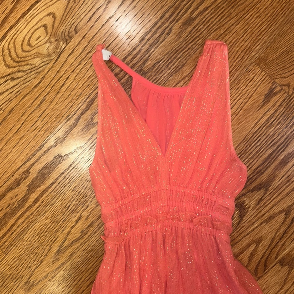 A.L.C Woman’s Pink Sparkle Maxi Dress Size 2