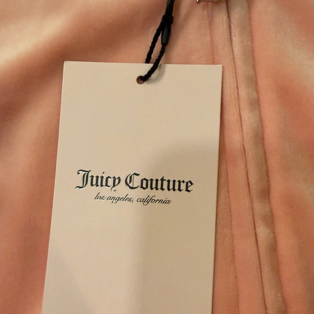 NWT Juicy Couture Light Pink Velour Label Hoodie Size Medium