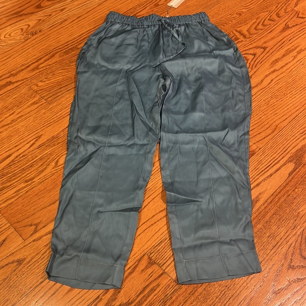 NWT Tucker Woman’s Dutch Blue In Cupro Twill Julia Pants Size S