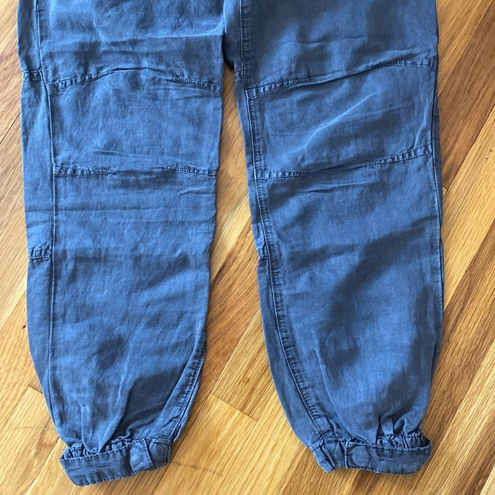 NWT All Saints Women’s Gray Cargo Pants Size 2