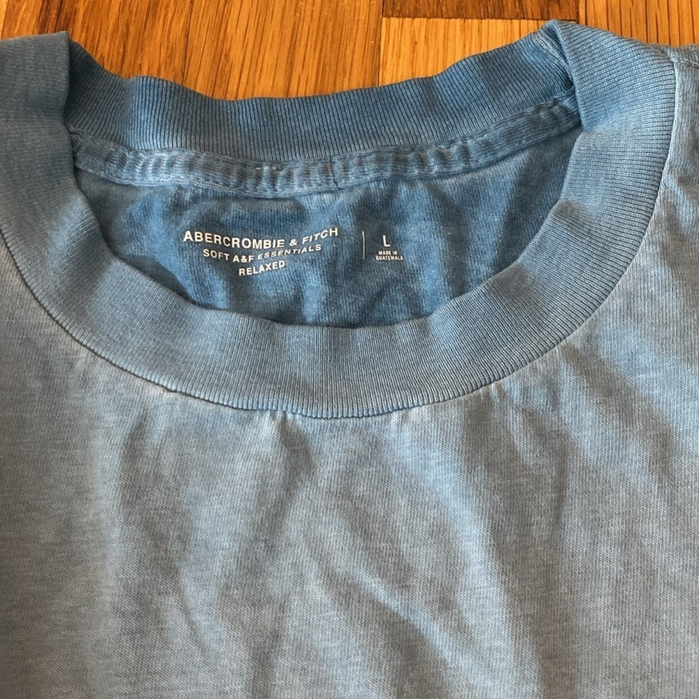 Abercrombie & Fitch Men’s Blue T-Shirt Size L